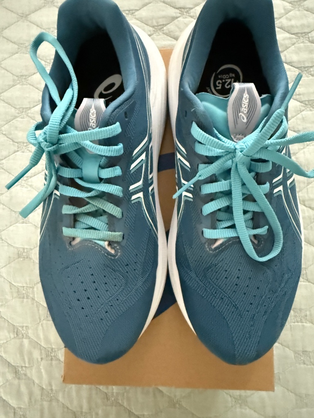 Ascis GT-2000- 14 Running Shoes